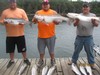 (07/27/2017) - Nice Striped Bass